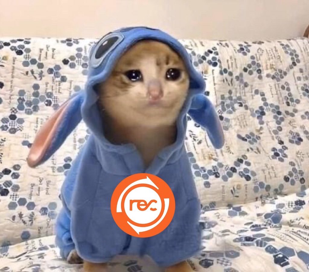 ReciprocityJP's tweet photo. https://t.co/4SpKGNkMCC