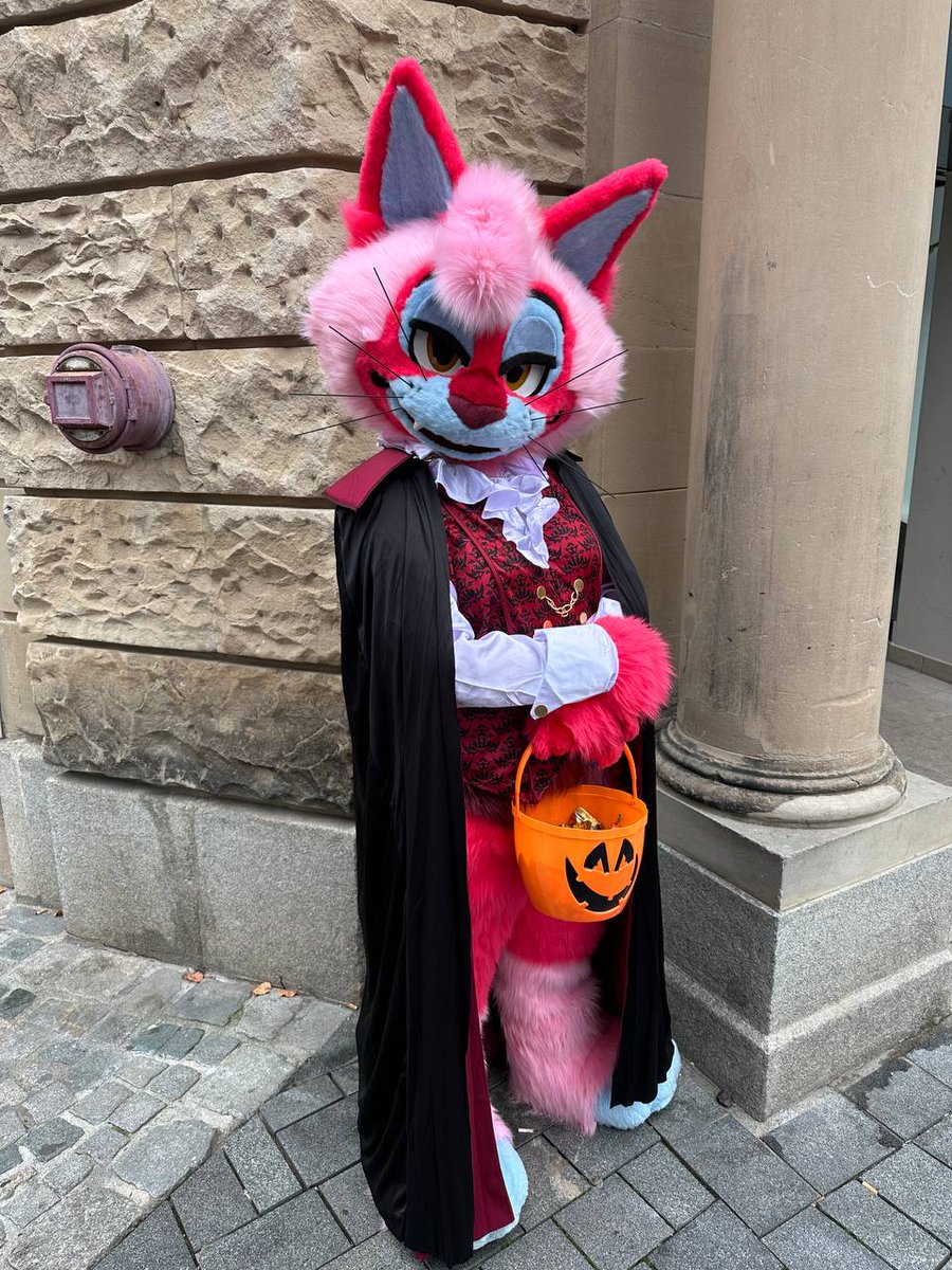 BeastLabsSuits's tweet photo. Happy #FursuitFriday!

Yesterday we've been out with friends, handing out candy!

How did you spend this years Halloween? :3

📷 By @///Corviath_Dragon (my partner) 
✂️ By us 
🐱 is @///WeirdPinkKitty (me) https://t.co/KlyhTvgKug