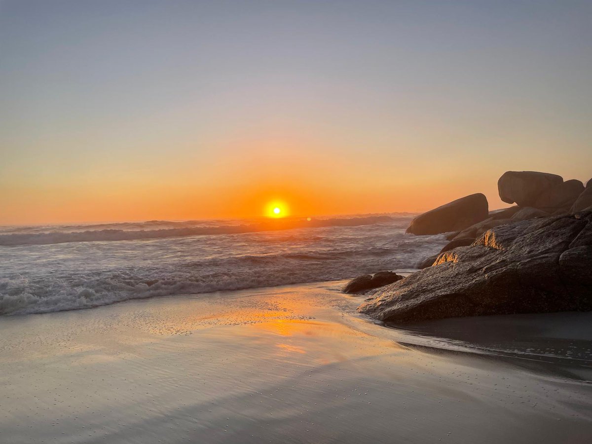 Sven Ossowski tweet media