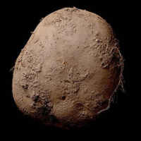 POTATO__SOL's tweet photo. The previous CTO team deleted the telegram and twitter. I have taken this over now. 

You cannot stop the potato. POTATO #345 is a symbol of the most iconic vegetable gifted to human kind. That is why it sold for over 1 million dollars.

https://t.co/haTqm9EJB2

THE DIRT STAYS ON https://t.co/jNJsPUUXT1