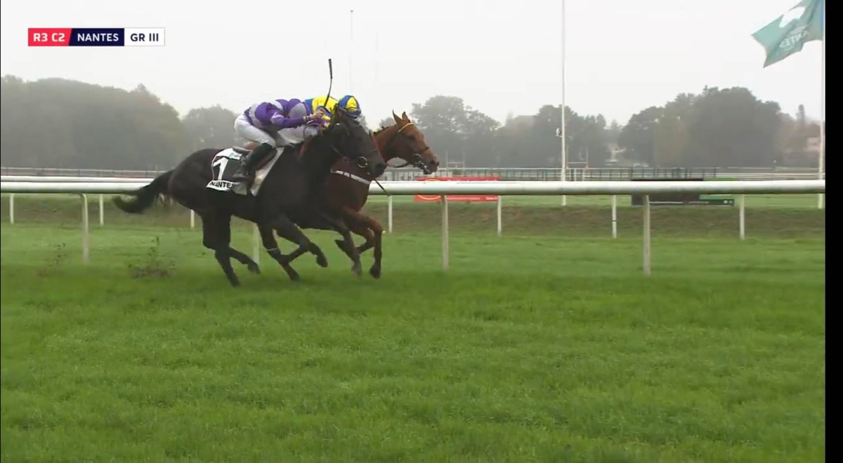 📍Nantes 
🏁Prix de l'Avenir  (GR.III AQPS)
LE RISKEL🏆 🟡🔵 dicte sa loi  ! 
 <a href="/OuestAqps/">AQPS OUEST</a>

Team Couetil 🏆👏🏻: <a href="/EPouymayon/">elodie pouymayon</a> <a href="/maxoudu53_max11/">Maxime</a>