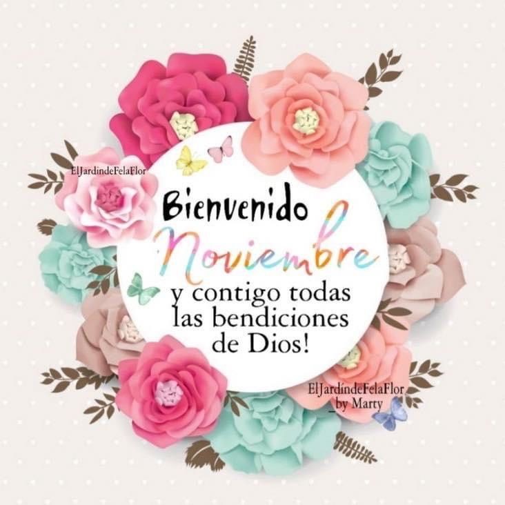 mamsalcedo's tweet photo. Bienvenido Noviembre, gracias gracias gracias Octubre, decreto un nuevo mes repleto de bendiciones para todos. 

💪🏻🎉🍾🥃🇻🇪⚽🗣️🧠🧿💵🙏🏻♾️ https://t.co/cXWvVizS2W