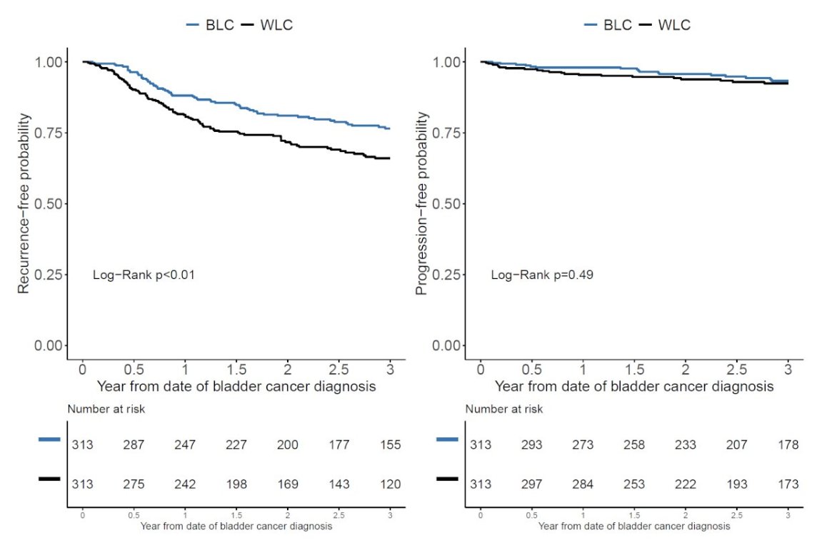 UroToday.com (@urotoday) on Twitter photo #BladderCancer recurrence analysis in #veterans and outcomes #BRAVO: White light vs blue light cystoscopy outcomes among #NMIBC patients in an equal access setting. Presentation by <a href="/AliNasrallah/">Ali Nasrallah, MD</a> <a href="/UTMBUrology/">UTMBUrology</a>. #SCSAUA24 written coverage by <a href="/zklaassen_md/">Zach Klaassen</a> <a href="/GACancerCenter/">Georgia Cancer Center</a> > #BladderCancer recurrence analysis in #veterans and outcomes #BRAVO: White light vs blue light cystoscopy outcomes among #NMIBC patients in an equal access setting. Presentation by <a href="/AliNasrallah/">Ali Nasrallah, MD</a> <a href="/UTMBUrology/">UTMBUrology</a>. #SCSAUA24 written coverage by <a href="/zklaassen_md/">Zach Klaassen</a> <a href="/GACancerCenter/">Georgia Cancer Center</a> >