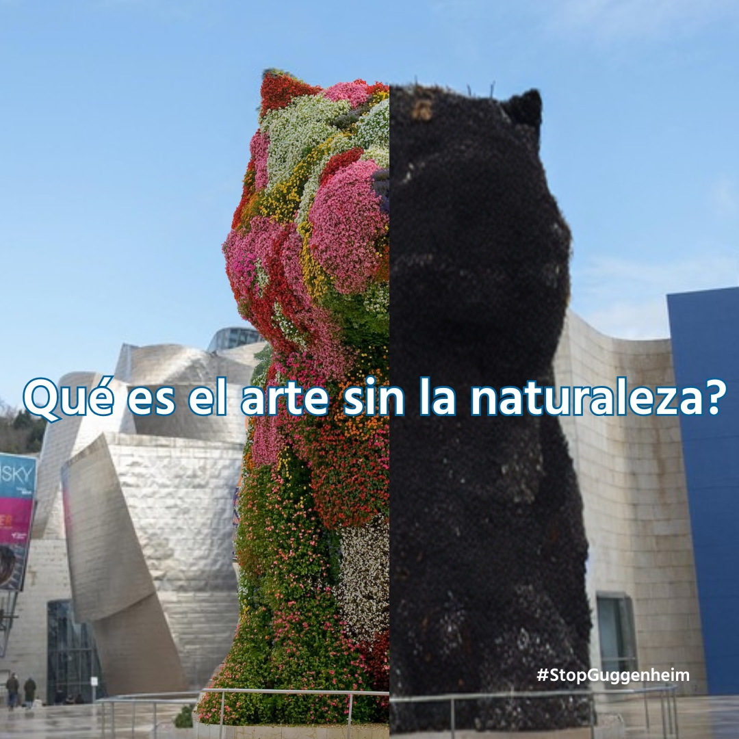 SEO_BirdLife's tweet photo. El arte siempre se ha inspirado en la naturaleza, no podemos permitir que la destruya. 🌍

La Reserva de la Biosfera de Urdaibai corre el riesgo de ser fuertemente modificada por la ampliación del @museoguggenheim.

Los humedales, bosques y llanuras aluviales de Urdaibai albergan una fauna diversa y son una parada crítica para las aves migratorias. Este ecosistema único, protegido por la Red #Natura2000, tiene un profundo valor cultural para los habitantes de la región, que se oponen a este plan.

✍️ Firma ahora: https://t.co/gcKyZKrXPA

#StopGuggenheim #SaveUrdaibai