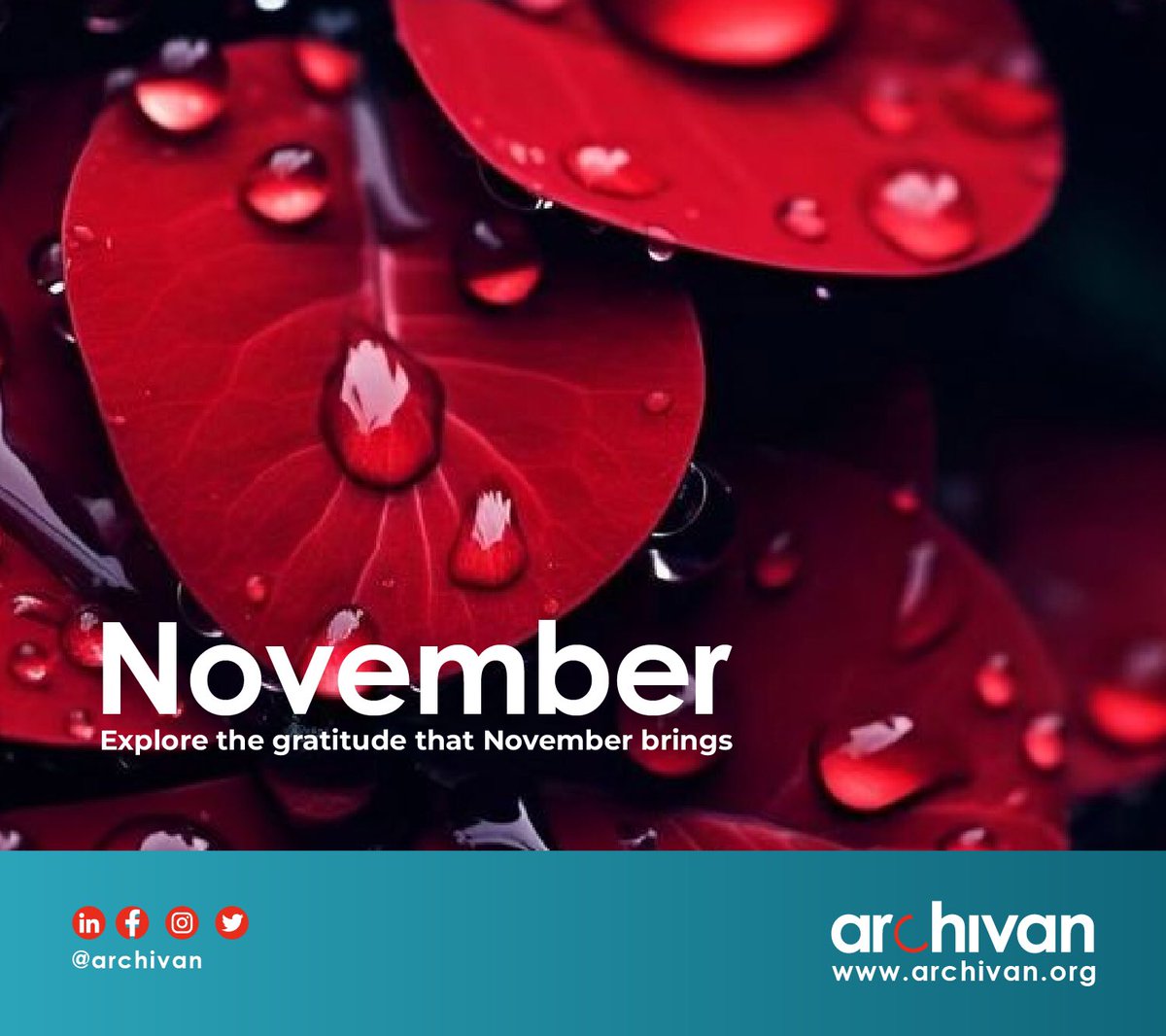 _Archivan's tweet photo. It's a New Month!
Explore the gratitude that November brings 🎉 https://t.co/nhPxUamyf1