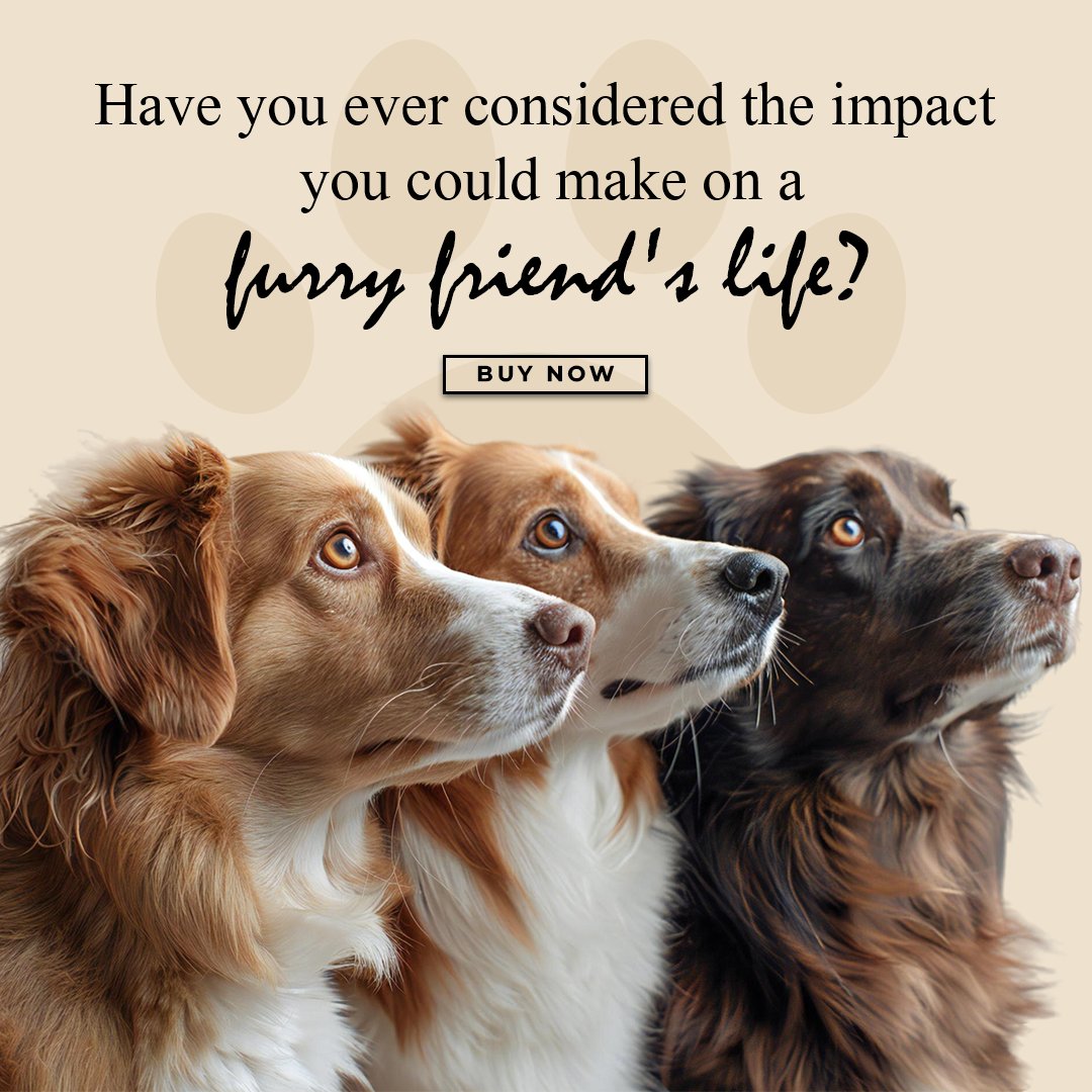 SamisArt's tweet photo. Imagine the joy of giving a homeless pet a second chance. Promises Kept is a collection of inspiring stories that will make you want to open your heart and home to a furry friend. Get your copy today from https://t.co/JqjwYnSwcN 

#PromisesKeptBook #SusieMyersAuthor #BookLovers https://t.co/hkTVRYtWdH