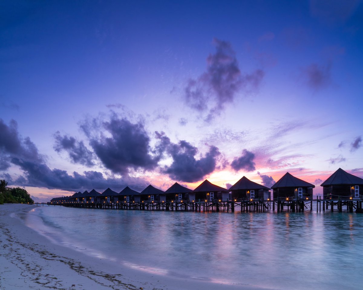 Cederfjärd tweet media