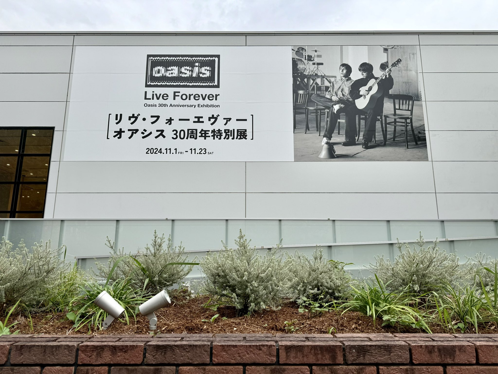 Oasis Lサイズ ⭐︎ Live Forever 30周年特別展 レビュー】「リヴ・フォーエヴァー: Oasis 30周年特別展」と企画
