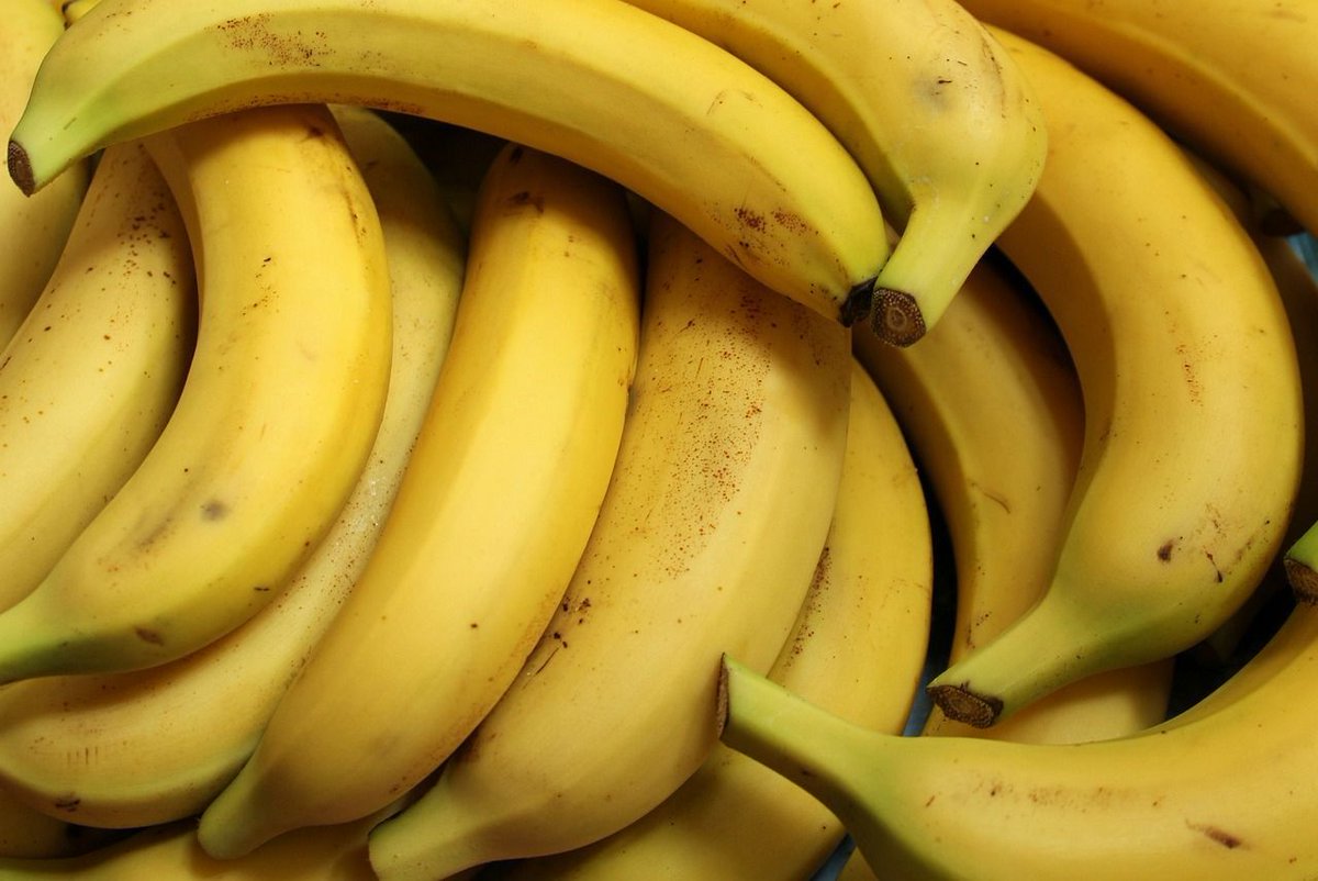 Jhortscib's tweet image. Nano-titanium dioxide (#TiO2) enhanced #fruit storage chambers: unveiling the potential for prolonging #banana shelf life.
To read this article in JHSB 99:6, visit: buff.ly/4eZXWSR 

#Musa #TitaniumDioxide #ShelfLife #ethylene #postharvest