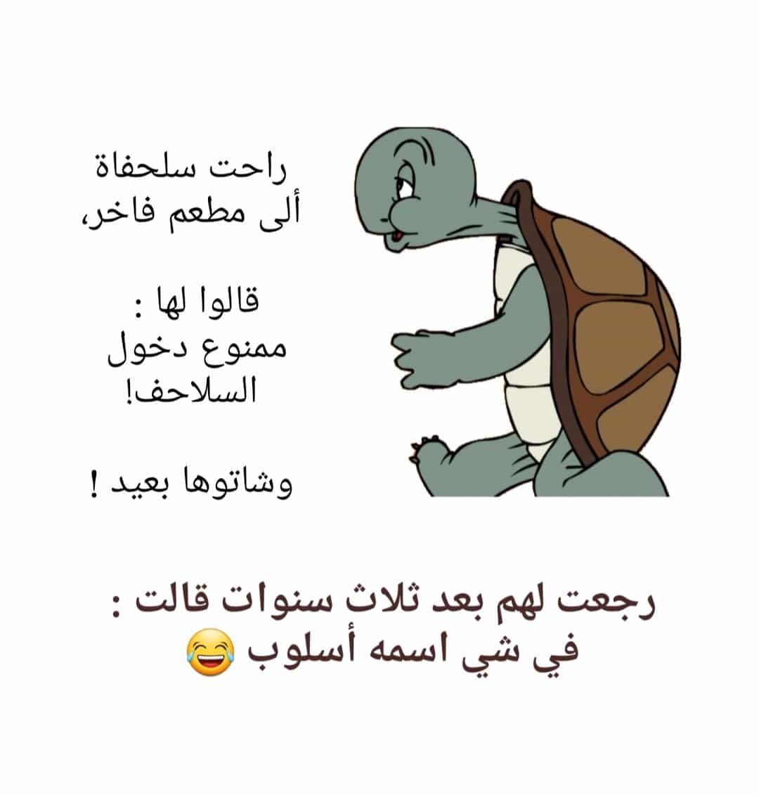 رد مستر فيفا 2028