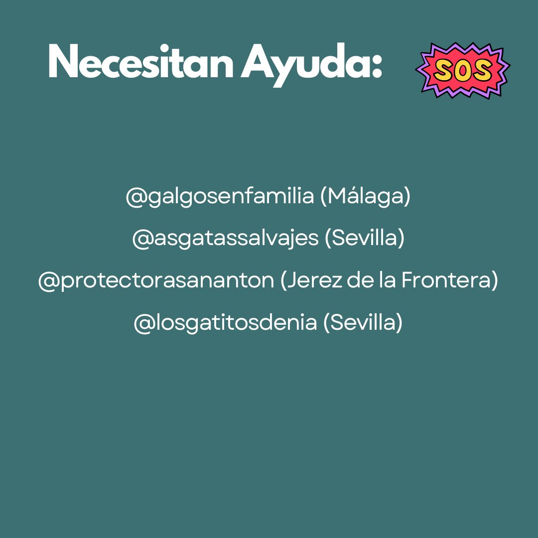 Carolin37194465's tweet photo. Santuarios y refugios que necesitan ayuda #dana #valencia #refugio https://t.co/a4TGKmI252