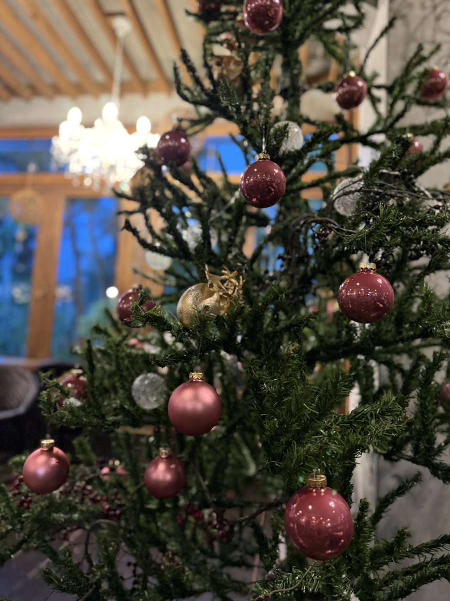 greenfingercafe's tweet photo. ハロウィン
を片付けました。
早速
クリスマス🎄の準備〜
イルミネーションもクレーン車で
取り付けなくっちゃ！
大忙しの11月がスタートしました笑 https://t.co/JrFcNomkjG