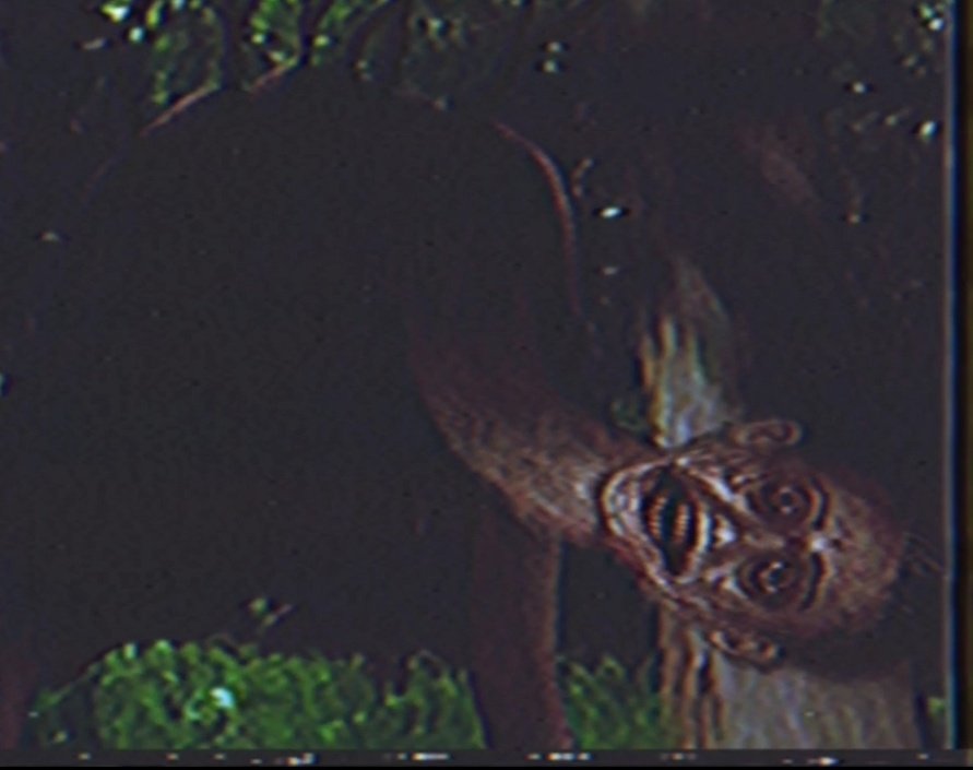 𝙳𝚊𝚛𝚔 𝙼𝚒𝚗𝚍🔦📹 (COMMISSIONS OPEN!) tweet media