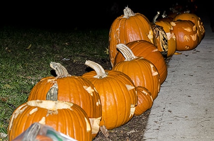 The annual Pumpkin Parades will be coming to more than a dozen parks in East Toronto tonight. All of the Pumpkin Parades will take place on Friday, Nov. 1, beginning at 6 p.m. rain or shine. beachmetro.com/2024/11/01/pos…