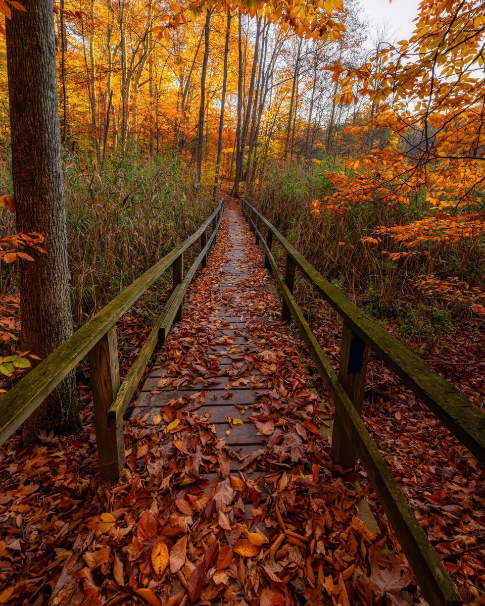 🍁This week’s #ROCTopShots winner, with most online votes, is <a href="/BrandonSprung/">Brandon Sprung</a> 🍂🐿️ #roc