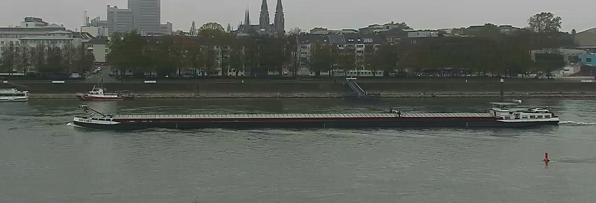 Rheinpegel's tweet image. Hallo #Septimo #Schiff #Bonn #Rhein