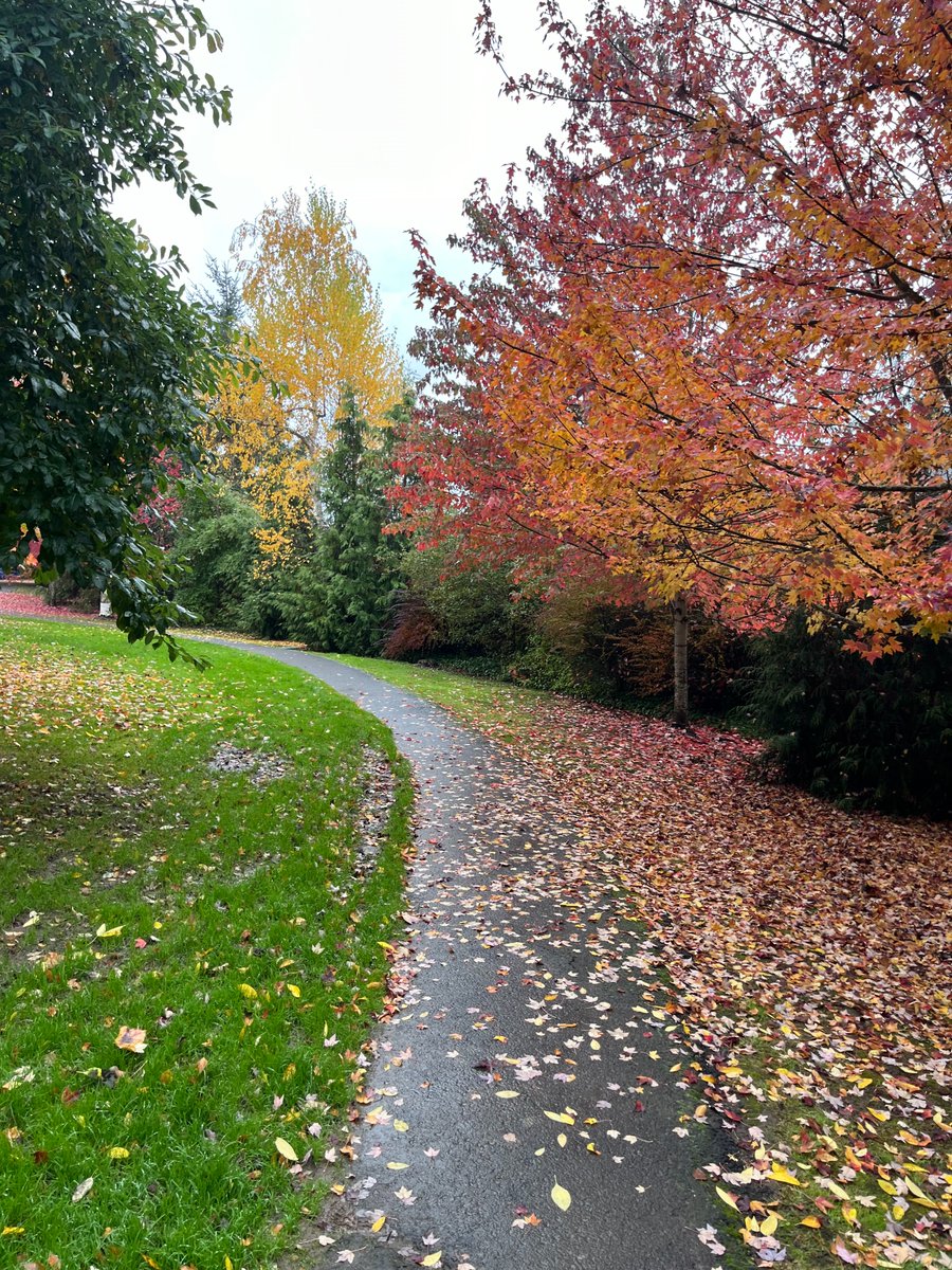 For this week’s #SundayScenery, check out this picturesque fall scene from Freepons Park, submitted by Jerry from Lake Oswego!

Thank you for the picture, Jerry! Submit your own today: chavez-deremer.house.gov/sunday-scenery