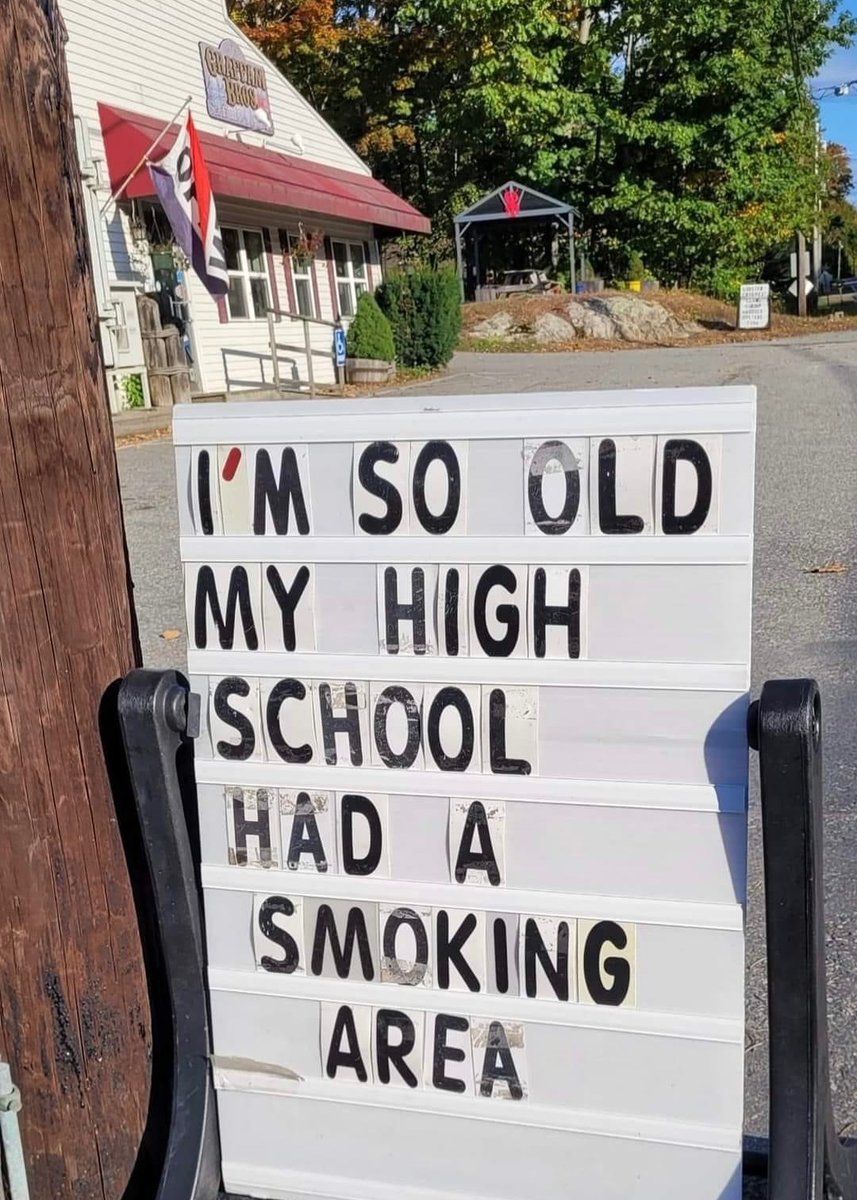 𝚒𝚕𝚕𝚢❗️ 𝚗𝚘𝚝 𝚕𝚒𝚕𝚕𝚢 tweet media