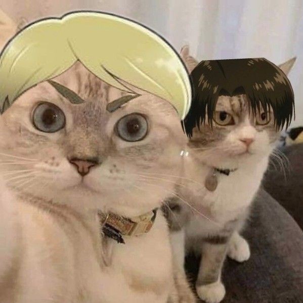 anfess_'s tweet photo. Cw // bl -anf
Saran anime jomok tapi bukan bl dong gais *pic pemanis https://t.co/XHP7ZnF2Gq
