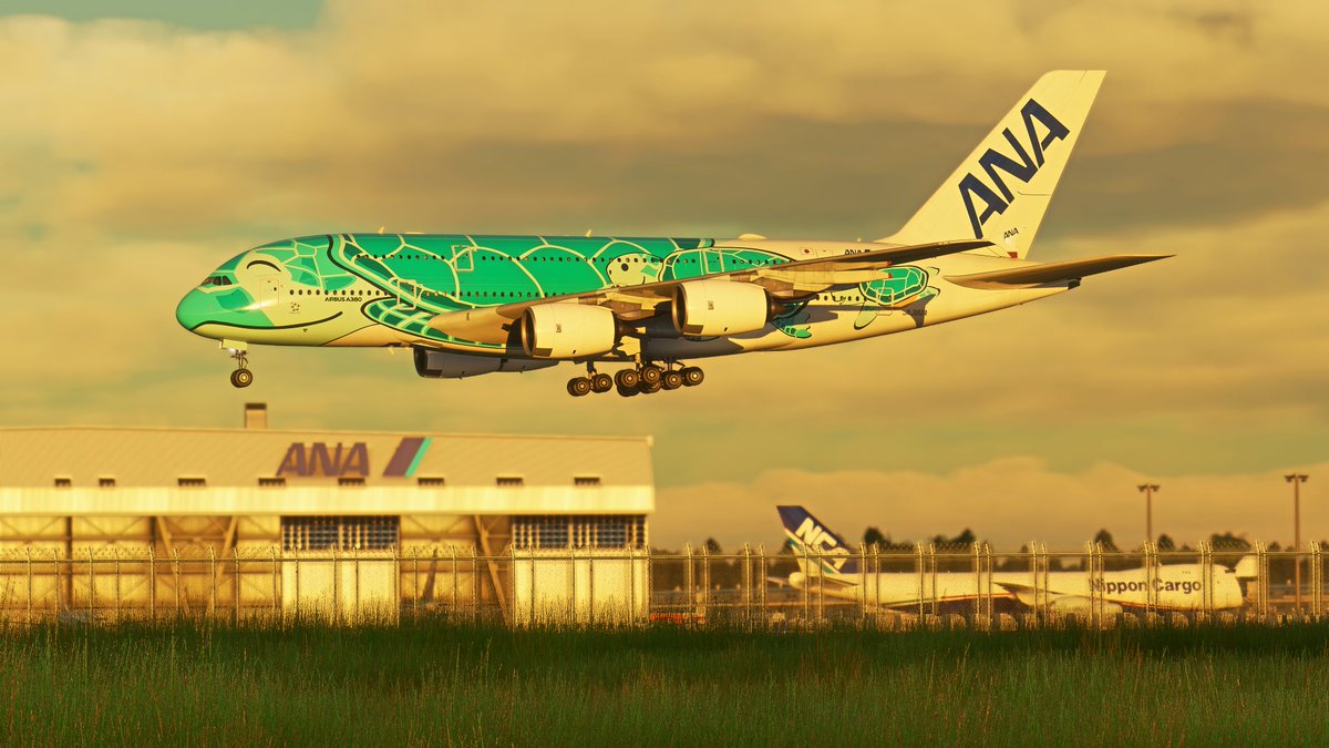 公開されていたFlying Honu' JA382Aリバリー All Nippon Airways (ANA