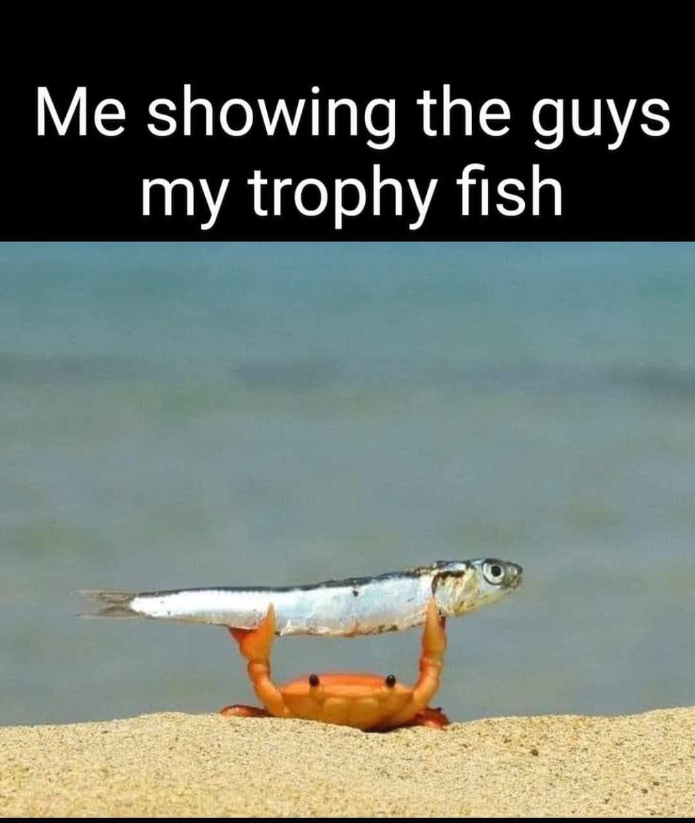 HuntFishTravel's tweet photo. From all the π£ I did in October...ππ
I don't know how Oct got away from me. Maybe we'll try again this month.
Does purchasing bait count during No Spend November?
#fishing #NoSpendNovember https://t.co/ro3iaDGjSq