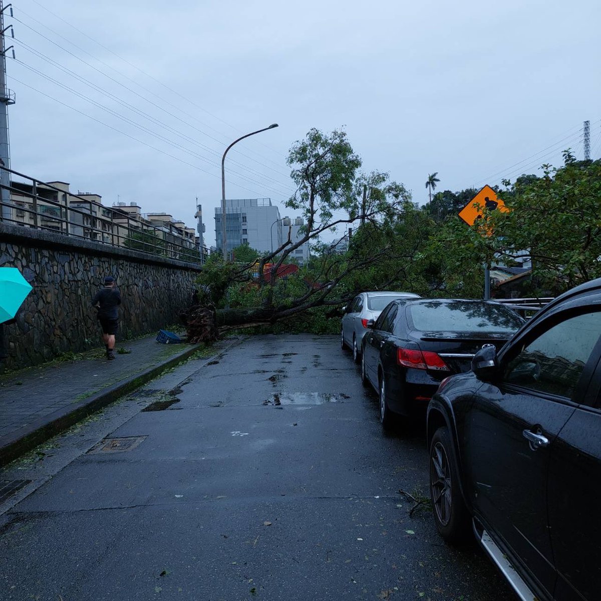New obstacle on your way to work, and of course, it wasn’t the only one!
#TyphoonKongRey