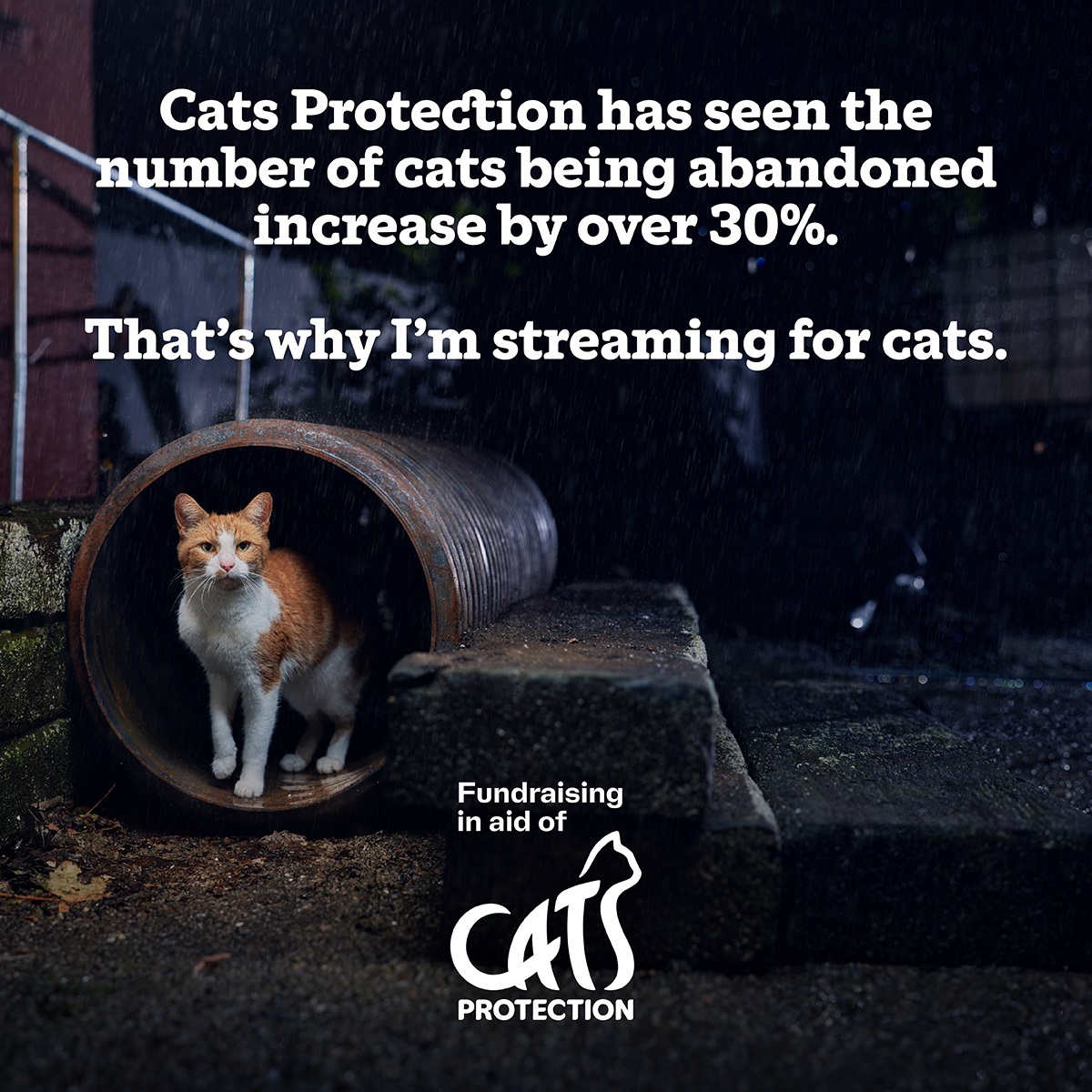 Its that time of year again! I will be streaming for 24 hours in aid of cats protection from 9am on Friday Novemeber 8th. Hope you can join me! Donations are now live and you can give here: tilt.fyi/RdyqJpqOXN #CatsOfX #catsofinstagram #CatsOfTwiitter