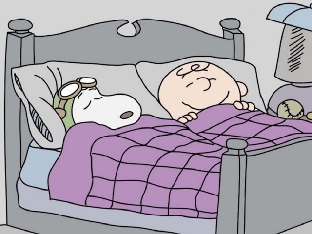 🚄駿SHUN🚃 tweet media