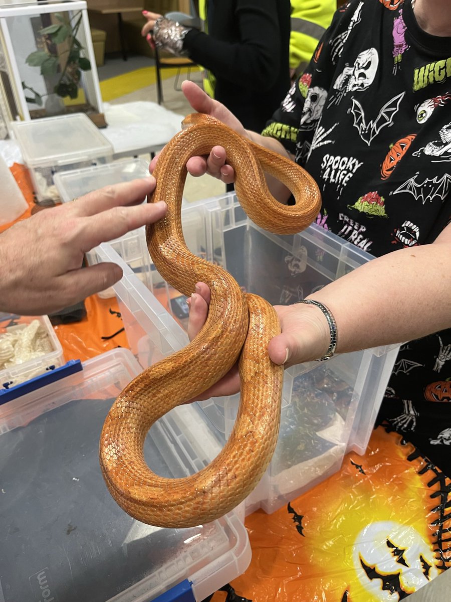 theme production tweet media