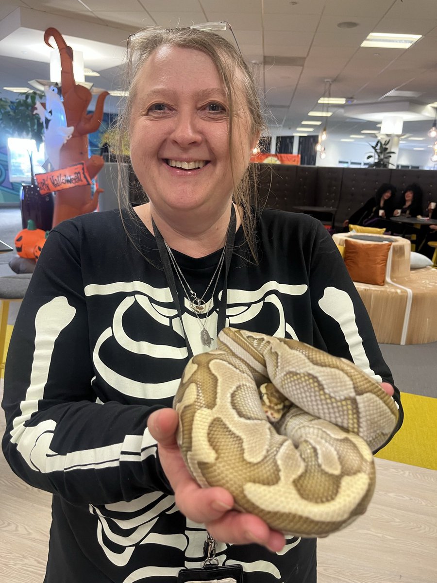 theme production tweet media