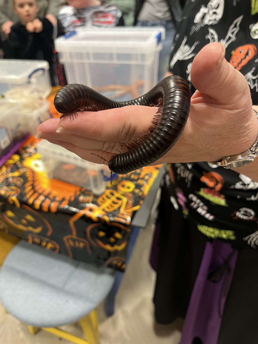 theme production tweet media