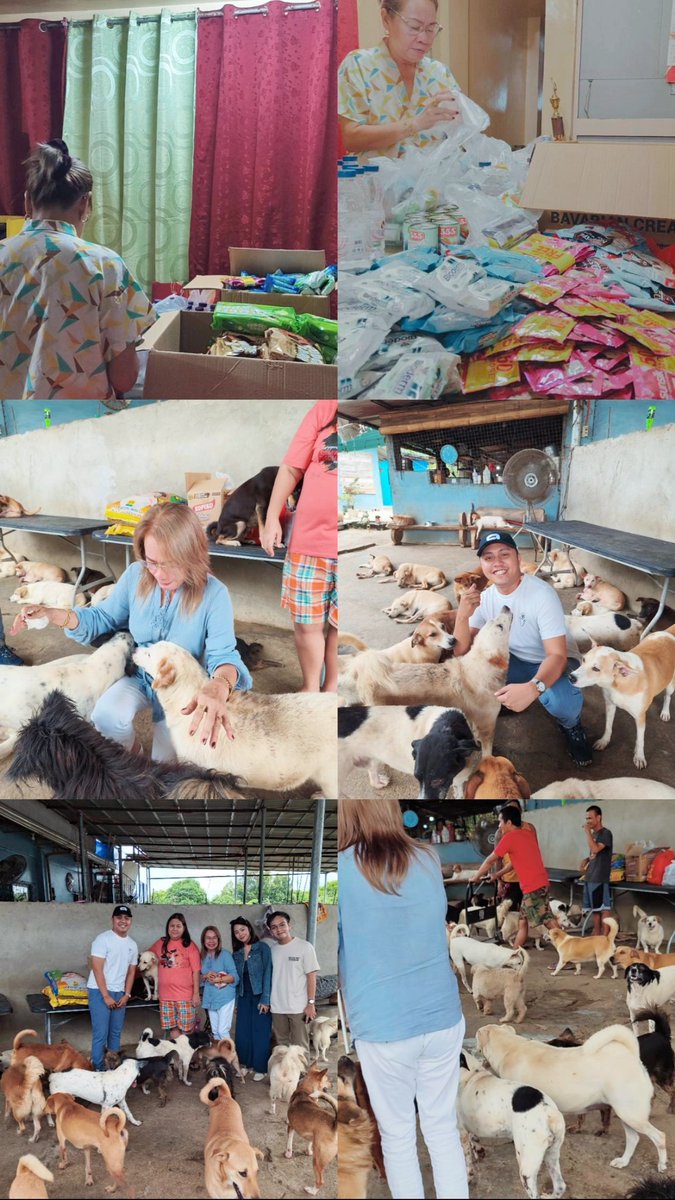 SuperTonyingPh's tweet photo. 50% Birthday ni Mama
50% Inspired by Aiahdvocacy

"The world is already filled with so much noise and chaos; let's instead fill it with love." - Aiah

Thank you sa inspirasyon, first time namin to nagawa, and we decided to do it monthly, sobrang sarap sa feeling 🥰 https://t.co/PcO7lk8ZNt