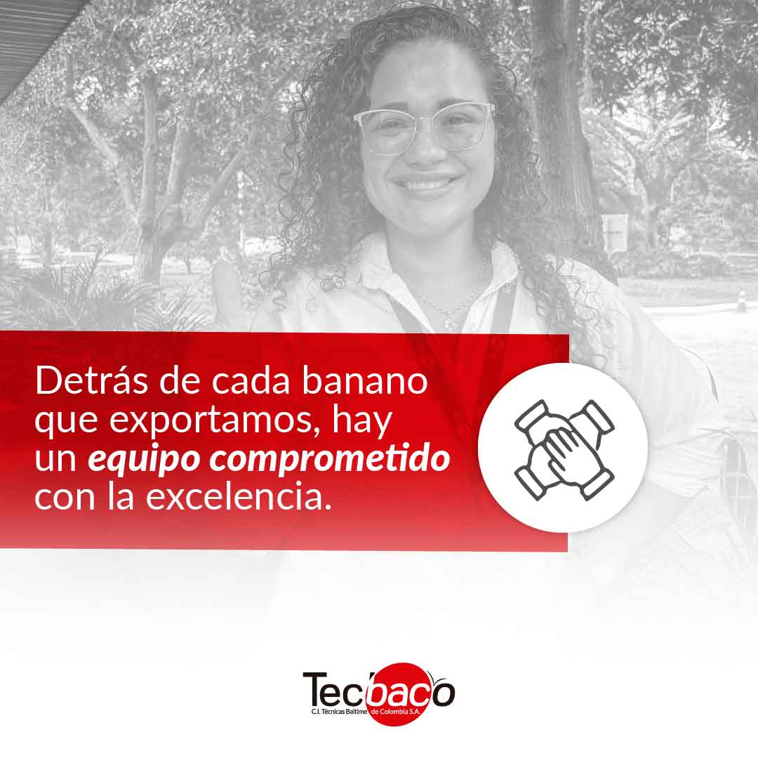 TecbacoCol's tweet photo. Detrás de cada banano exportado por Tecbaco hay una historia de dedicación y compromiso. 🌱 Cada colaborador, aporta su esfuerzo para garantizar que llevemos al mundo lo mejor de nuestra tierra. ¿Conoces a alguien que trabaja en Tecbaco? ¡Menciónalo y agradece su esfuerzo! 🙌
.
#OrgulloTecbaco #LíderesEnExportación #Productividad