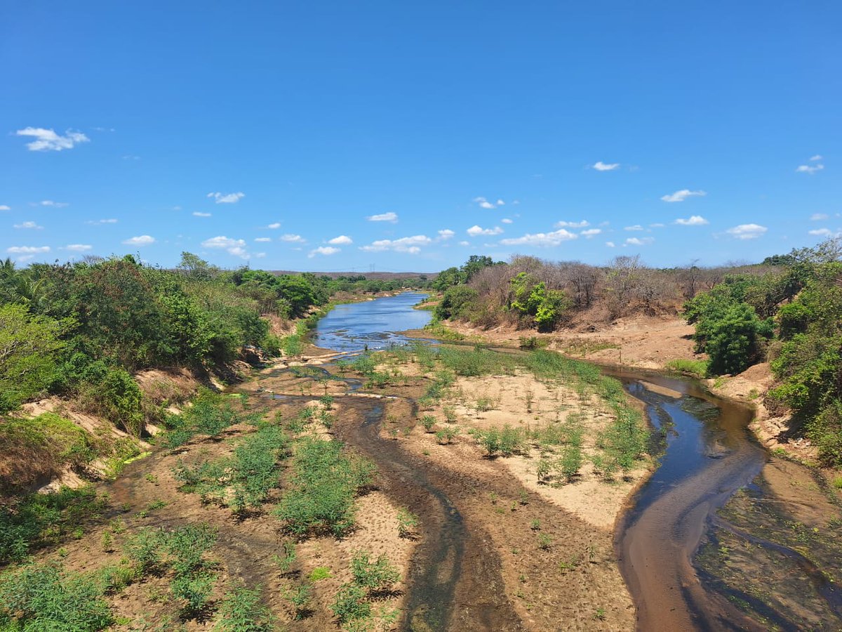 Victor Saito tweet media