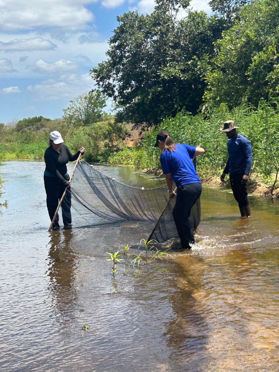 Victor Saito tweet media