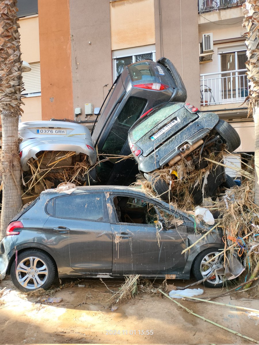 Muzzle (@planetvini) on Twitter photo 