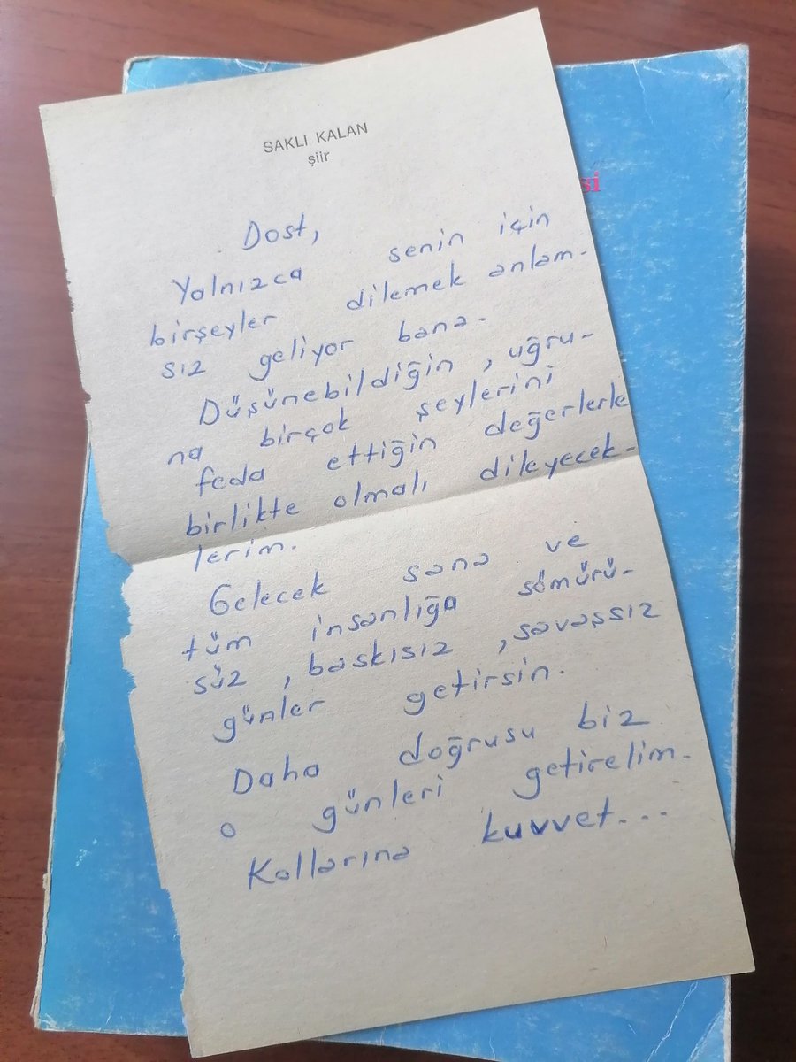 Pelin tweet media