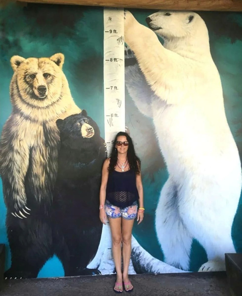AMAZlNGNATURE's tweet photo. The size of bears against average human height. https://t.co/ruDYsFU6IE