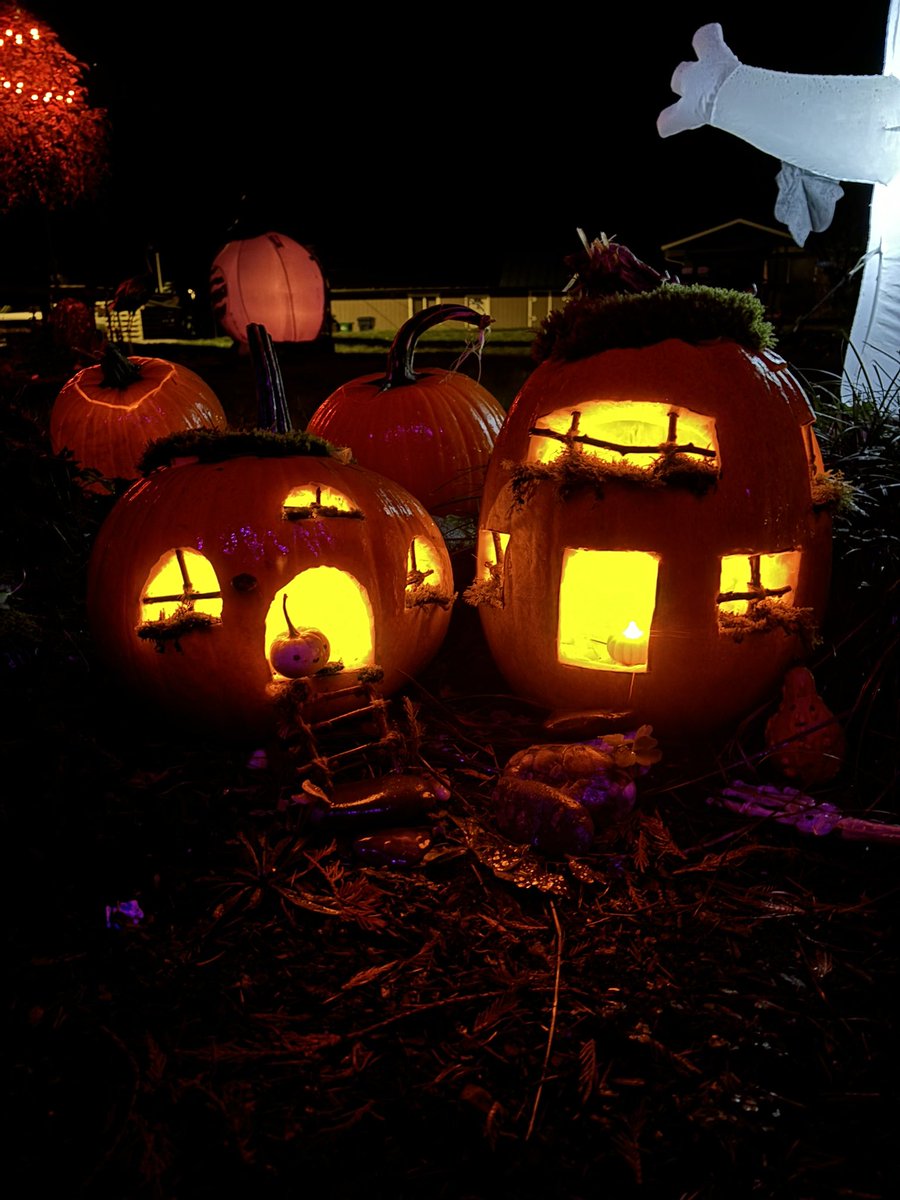 HannahJoy96's tweet photo. Ended carving another pumpkin house because it was just so much fun🥰 they’re neighbors☺️ 

Also I should add that my husband did get to enter the original pumpkin house for the contest and it won🥹🥰💕 https://t.co/quiR9Lx0M0