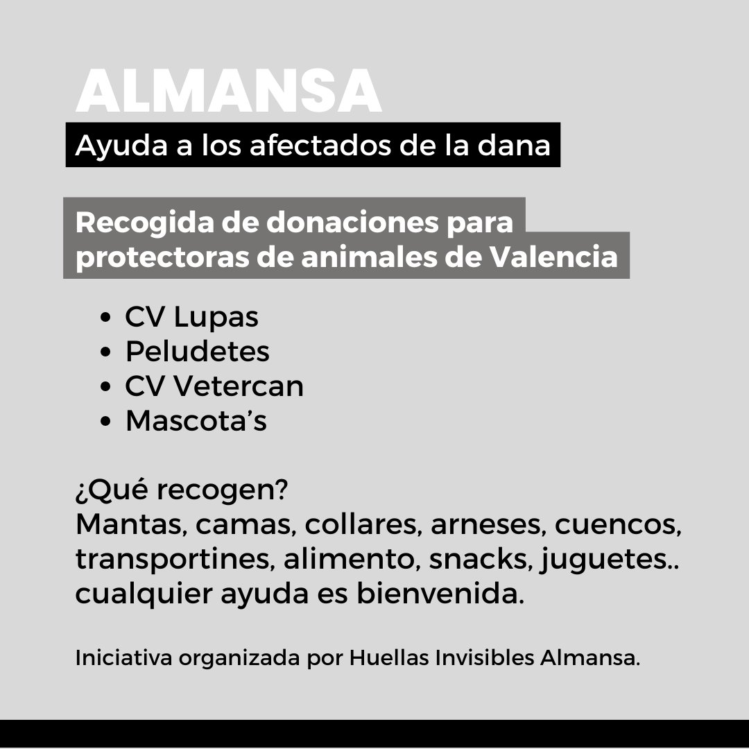 María Belén Belotto tweet media