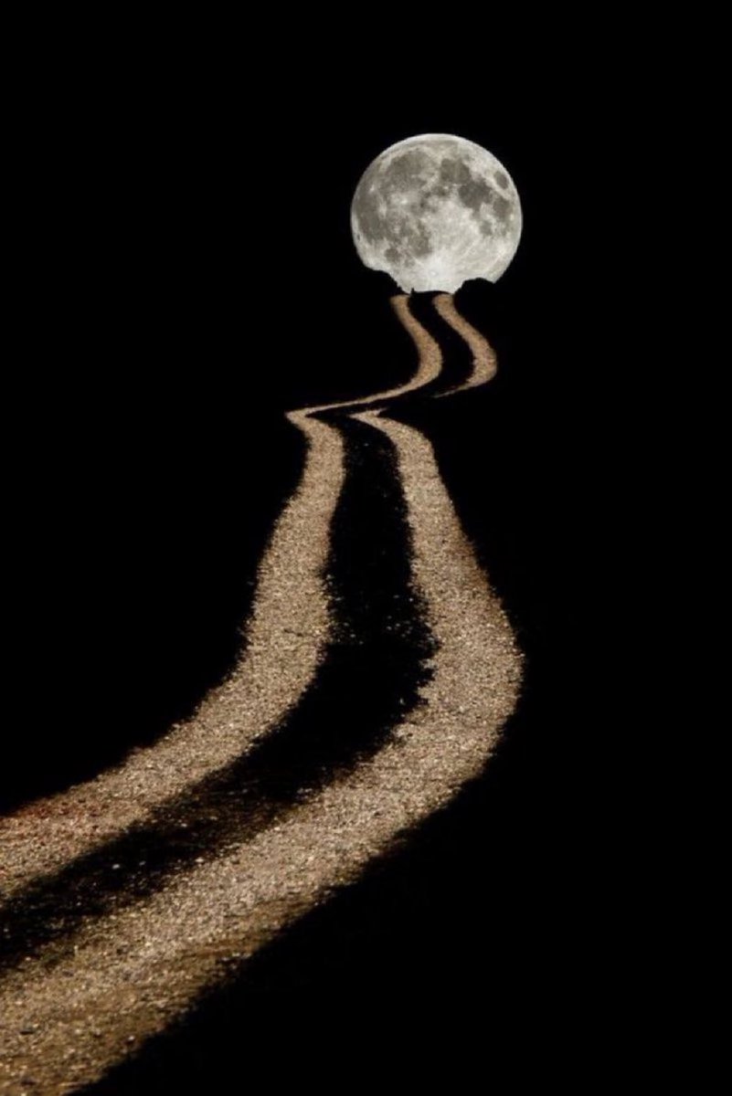 MOON LOVER tweet media
