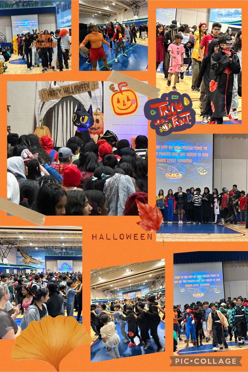 Fathana Bhatty tweet media