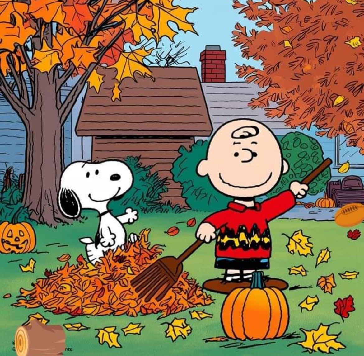 Peanuts_4Fans's tweet photo. At the end of the day  if I can say I had fun  it was a good day 😊 #Peanuts https://t.co/kQKI05h4PO