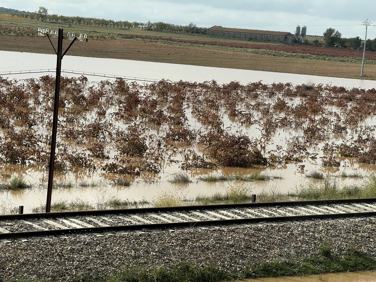 Chef José Andrés 🕊️🥘🍳 tweet media