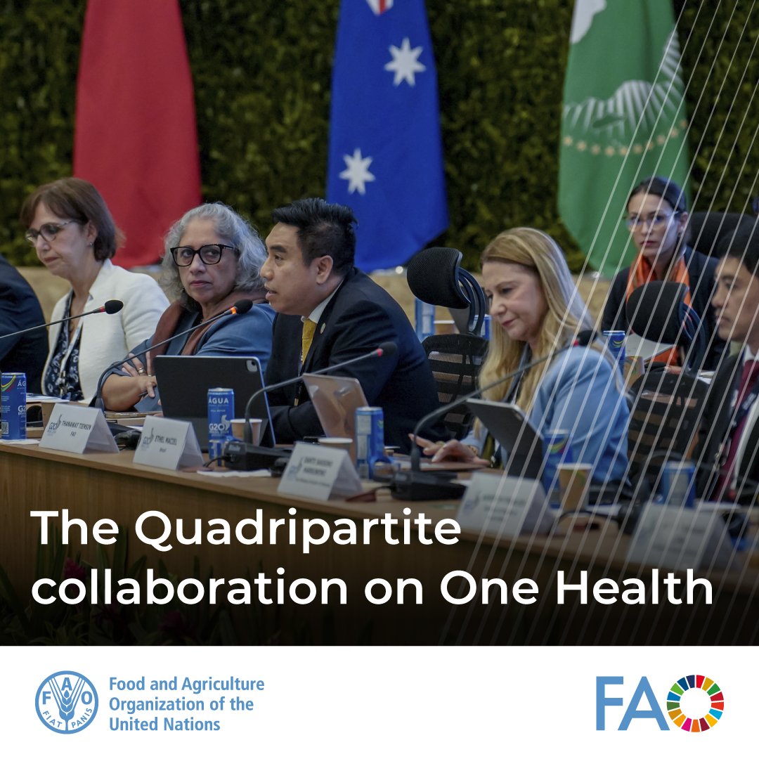.<a href="/FAO/">Food and Agriculture Organization</a>, <a href="/UNEP/">UN Environment Programme</a>, <a href="/WHO/">World Health Organization (WHO)</a> and <a href="/WOAH/">World Organisation for Animal Health</a> applaud the <a href="/G20/">G20</a> commitment to #OneHealth — an essential step toward safeguarding human, animal, plant, and environmental health.

👉bit.ly/48DybFO