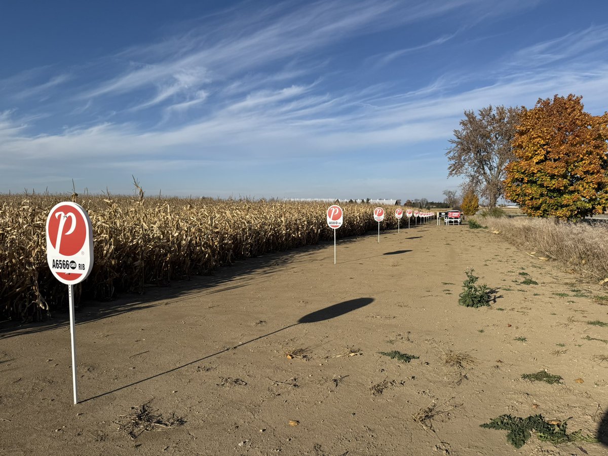 The Hitching Post (2019) Ltd tweet media