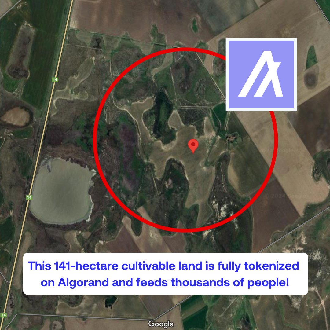 algerstmehn's tweet image. Ok, this is going wild.
First, imagine a piece of cultivable land the size of 200+ football fields, fully tokenized on $ALGO and owned by hundreds of investors.
Now imagine that the products consumed daily by thousands of people in Argentina 🇦🇷 come from this land.
This is…