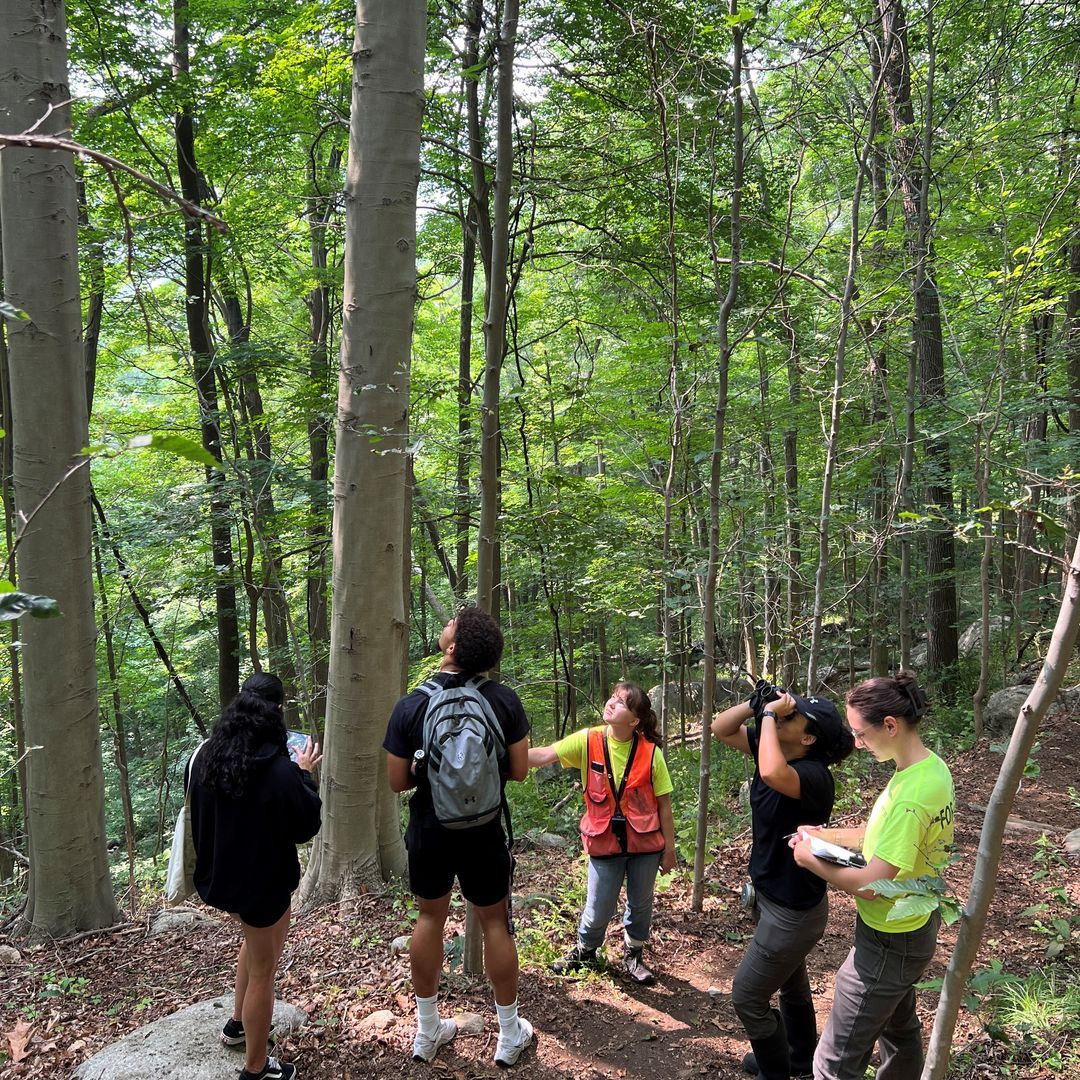 Hudson Highlands LT tweet media