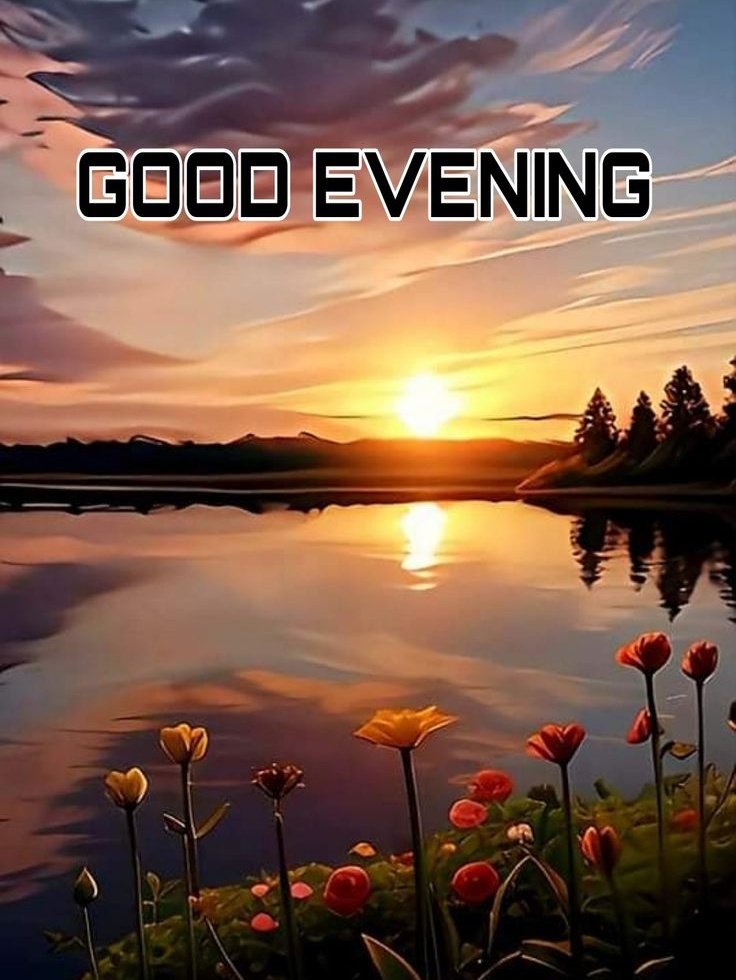 Good evening 
X family 
Hope you guys had a good day