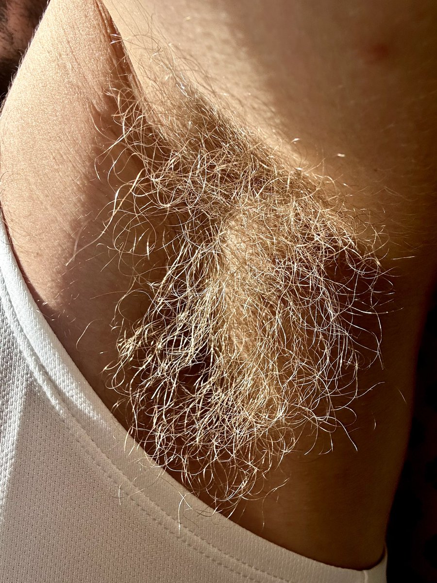 loco_peps's tweet photo. Chest day
Testo smell day
Golden pet
#armpit #armpitbush #armpitfetish #armpitlove #armpitmusc #armpitshot #axila #axilasfetish #blondarmpit #blond #hairy #Hairy_armpit #hairyarmpit #hairyblond #hairyblondarmpit #hairypit #sovaco #testo #testoarmpit https://t.co/CGU6QKhLHb